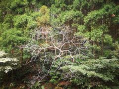 -雁荡山风景名胜区