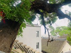 -北山公园