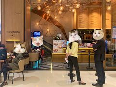 -THE WOODS 简餐 (国贸商城店)