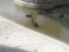 -新疆天山野生动物园