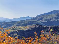 -北京西山国家森林公园