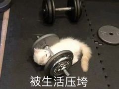 -为你钟情咖啡馆(春熙路太古里步行街店)