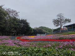 -龙凤山庄影视度假村