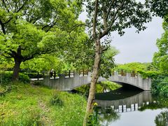 -上海滨江森林公园