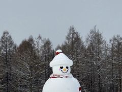 -长白山华美胜地滑雪场