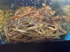 -蟹之国·精品蟹料理(极地店)