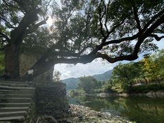 -上坦村