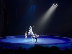 -珠海横琴长隆《卡卡虎奇遇记》