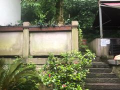 -龙井壹号·茶缘山景宴(龙井村店)