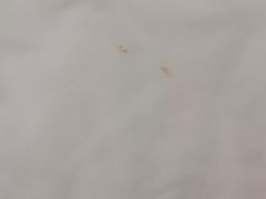 -北京九华山庄会展酒店