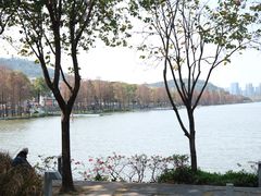 -顺峰山公园