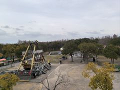 -上海海湾国家森林公园