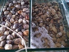 -岛中岛·海鲜大排档·万宁老字号(东澳店)