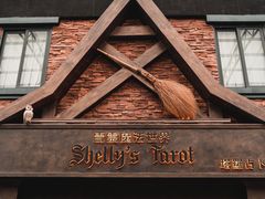 -雪灵魔法世界SHELLY’S TAROT(大良桂畔里店)