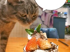 -猫小院猫主题餐厅(三里屯店)