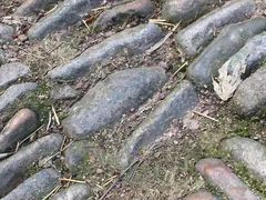 -溪口-滕头旅游景区