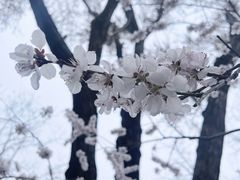 -碑林公园