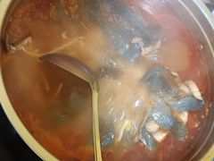 鲶鱼酸汤鱼锅-弘烨 贵州酸汤 鱼火锅(东财店)