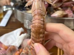 -鲁前海沿儿