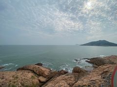 -广东惠东海龟国家级自然保护区
