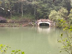 -灵栖洞天