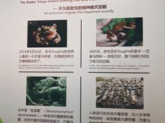 -正佳雨林生态植物园