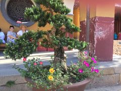 -普陀山风景名胜区-法雨禅寺