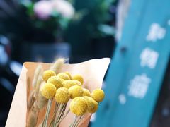 -知物癖(牛王庙店)