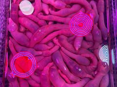 -营口路海鲜市场