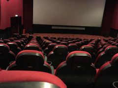 -AMG海上明珠影城(上海环球港RealDCinema店)