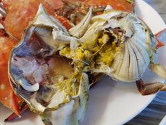 -京秀缘蒸汽海鲜农家菜大馅蒸饺