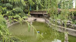 -虹桥迎宾馆·宴会厅