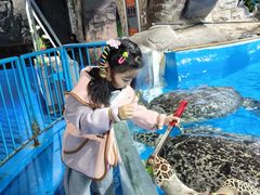 -泉城欧乐堡海洋极地世界