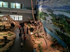 -自贡恐龙博物馆