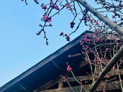 -宝岩生态观光园