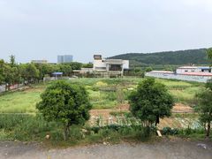 -西湾土八灶· 旺山老字号农家菜
