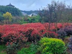 -东部华侨城