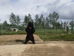 -鄂尔多斯野生动物园