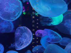-正佳极地海洋世界