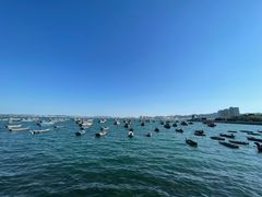 -海源公园