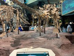 -安徽省地质博物馆