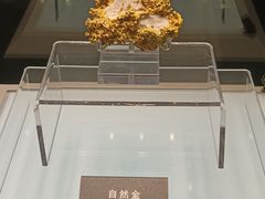 -安徽省地质博物馆
