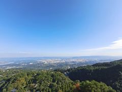 -大金鹰园
