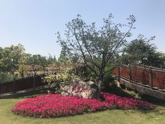 -上海长兴岛郊野公园