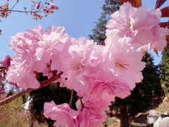 -丹山赤水风景名胜区