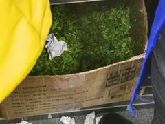 -白老三牛肉丸子面(平阳广场店)