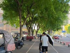 -大渡口区义渡公园