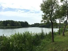 -尚贤河湿地