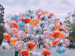 纪念品-上海迪士尼度假区