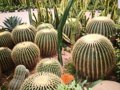 景点-西安世博园